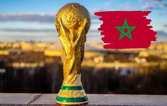 Coupe du monde 2030 : Une vaste campagne d’abattage de chiens errants